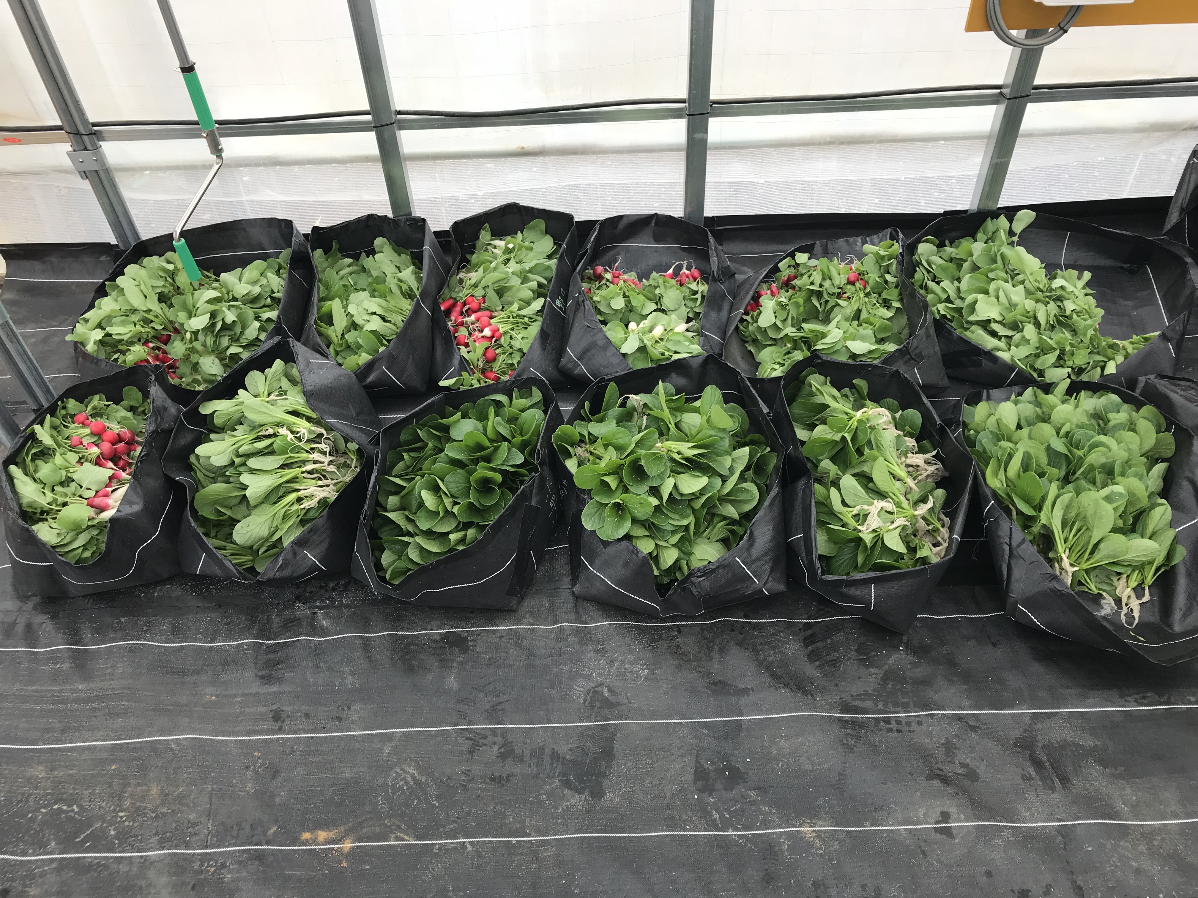 農園の終了について