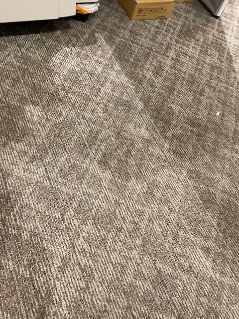 260626追加撮影.jpg
