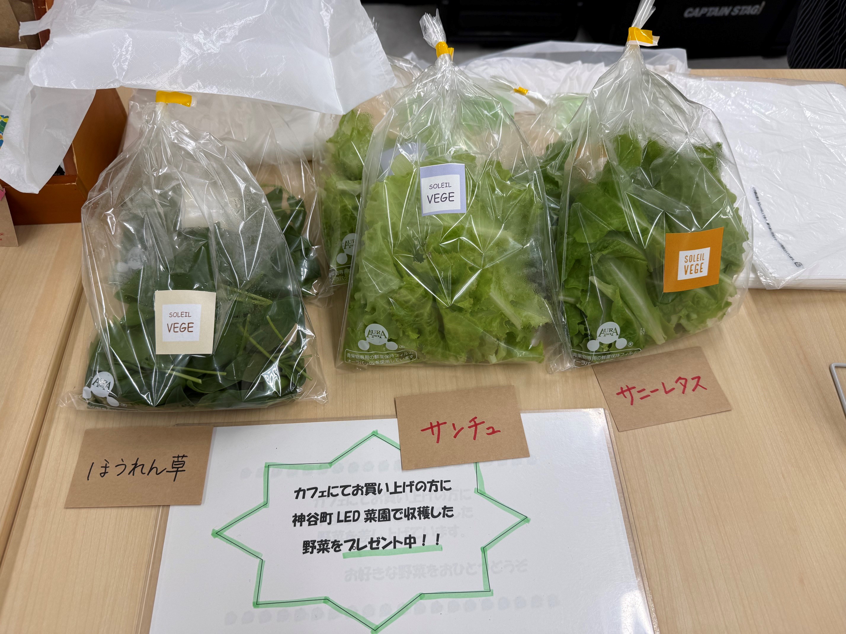 鈴和５.jpg