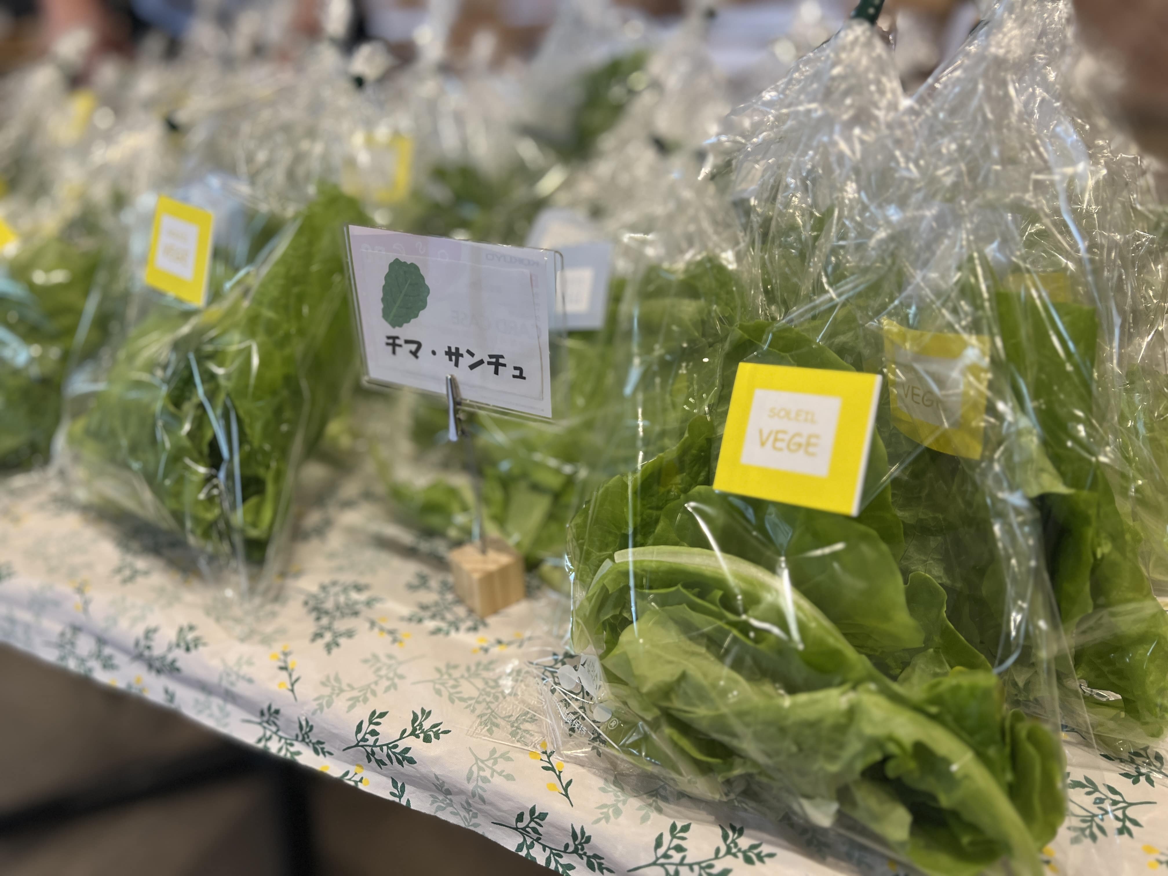 オープンイベント